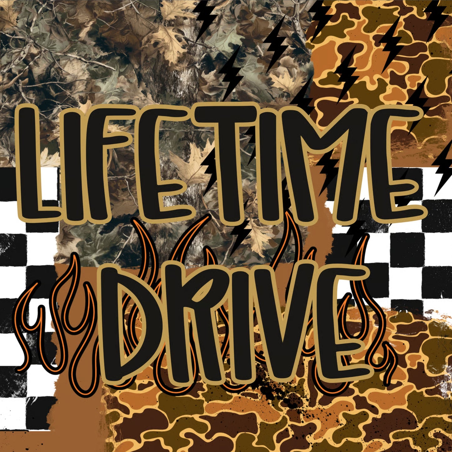 Lifetime ACCESS